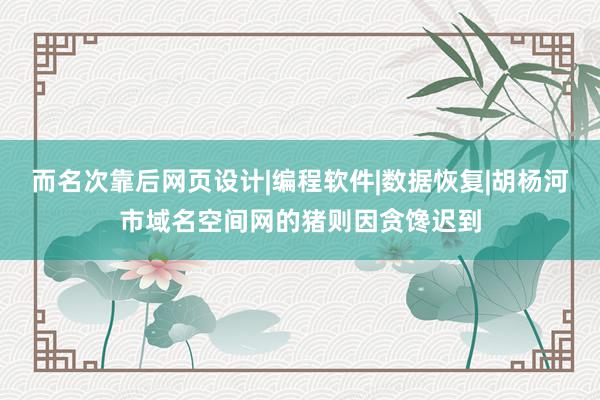 而名次靠后网页设计|编程软件|数据恢复|胡杨河市域名空间网的猪则因贪馋迟到